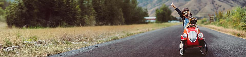 DFV-VerkehrsrechtsSchutz